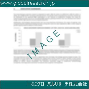 グローバルリサーチ調査資料のイメージ